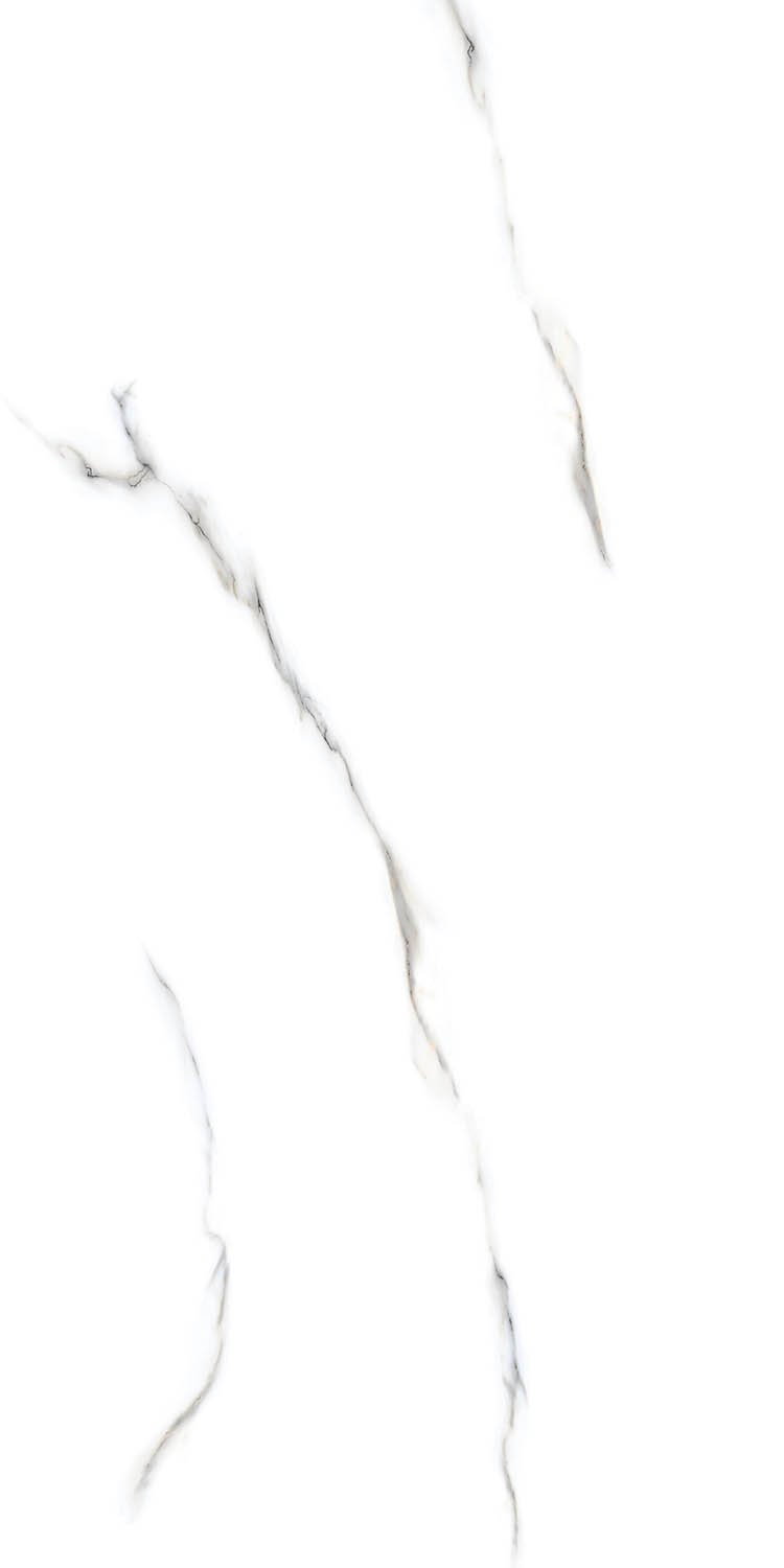 shop-2_01